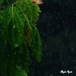 葉山さゆり无码影片
