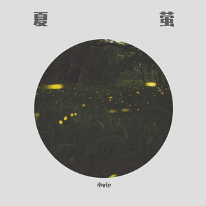 葉山さゆり无码影片
